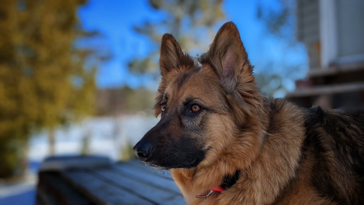 todd (@rowlandstodd) on Twitter photo 