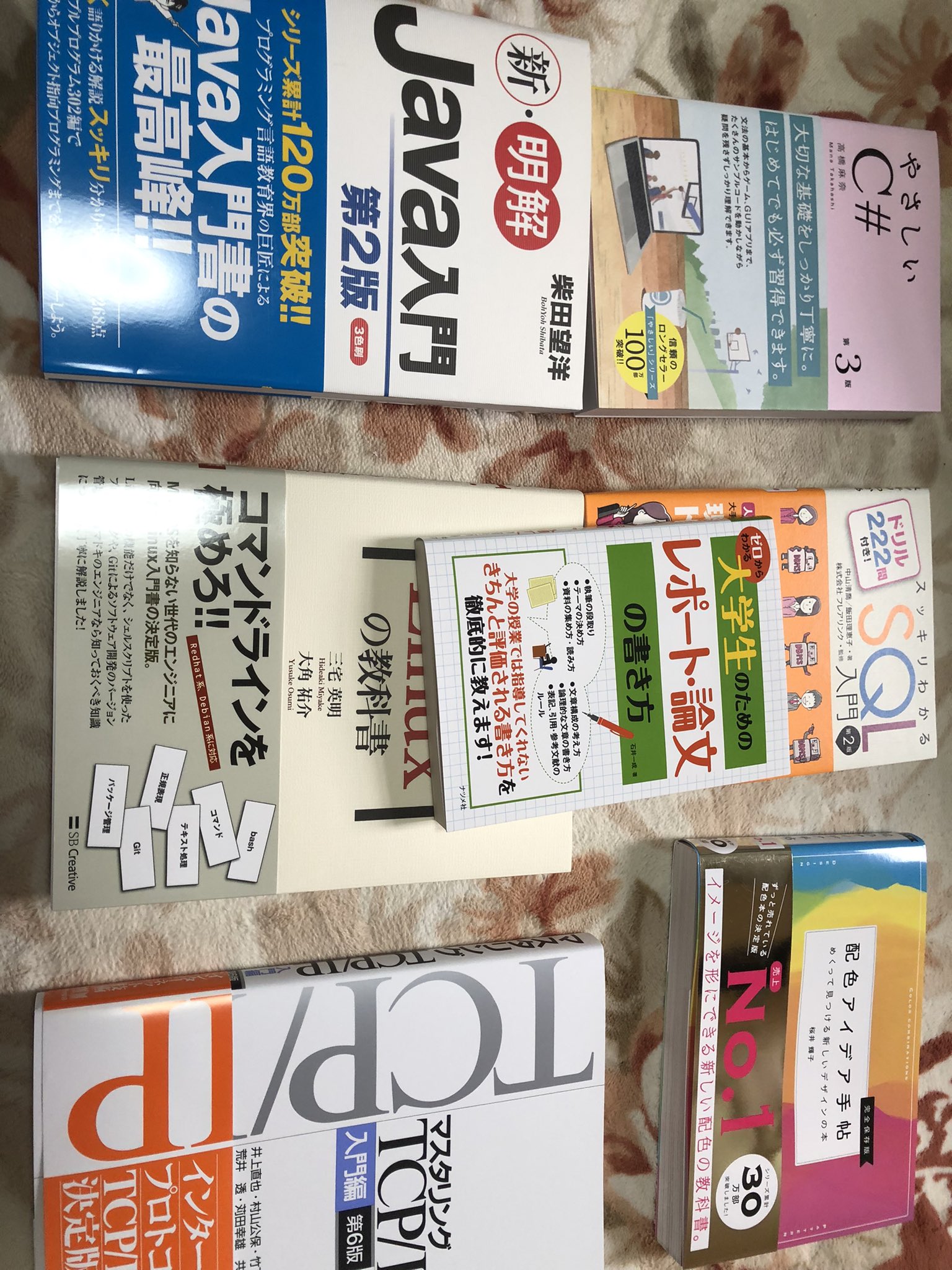 釣り好きミクロ Ikasumi Twitter
