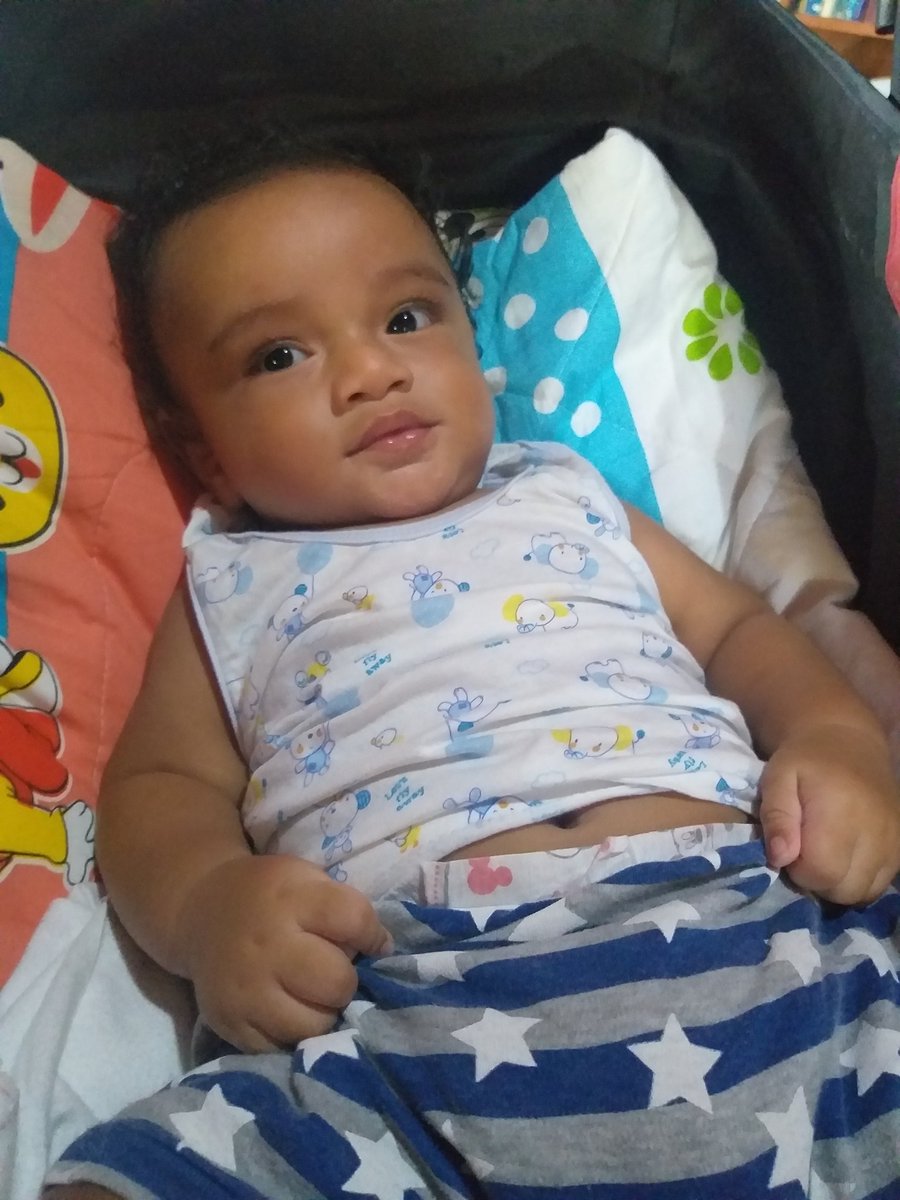vilimaina_n's tweet photo. Hitting 6 months soon ๐ Amalgam of Kadavu + Rotuma ๐
#firstseed https://t.co/LFYkZ44UlZ