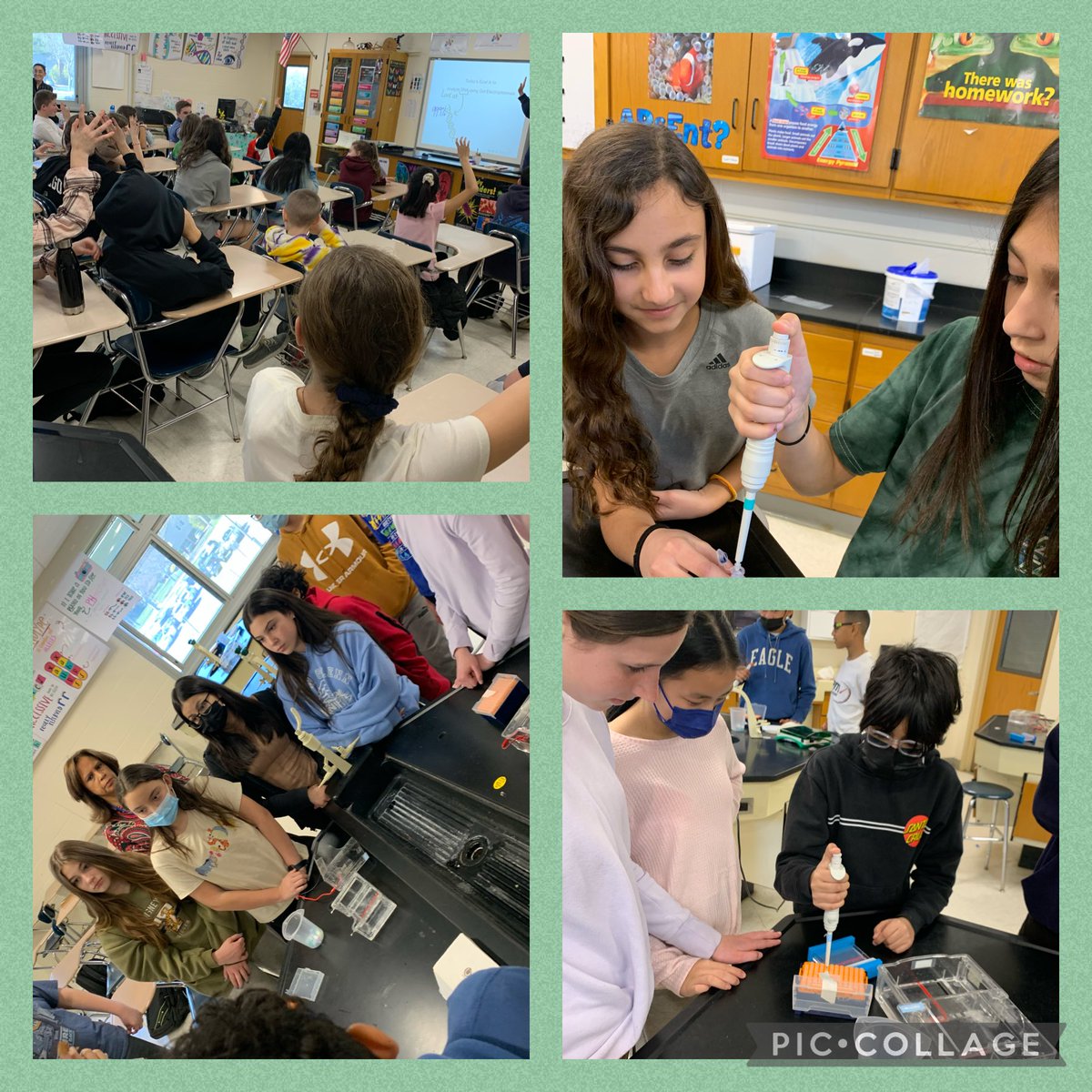7th grade students analyze DNA with Gel Electrophoresis! #ColdSpringHarbor #ScienceRocks ⁦@ElwoodMiddle⁩ ⁦<a href="/MHull_AsstSupt/">Maureen Hull, Ed.D.</a>⁩
