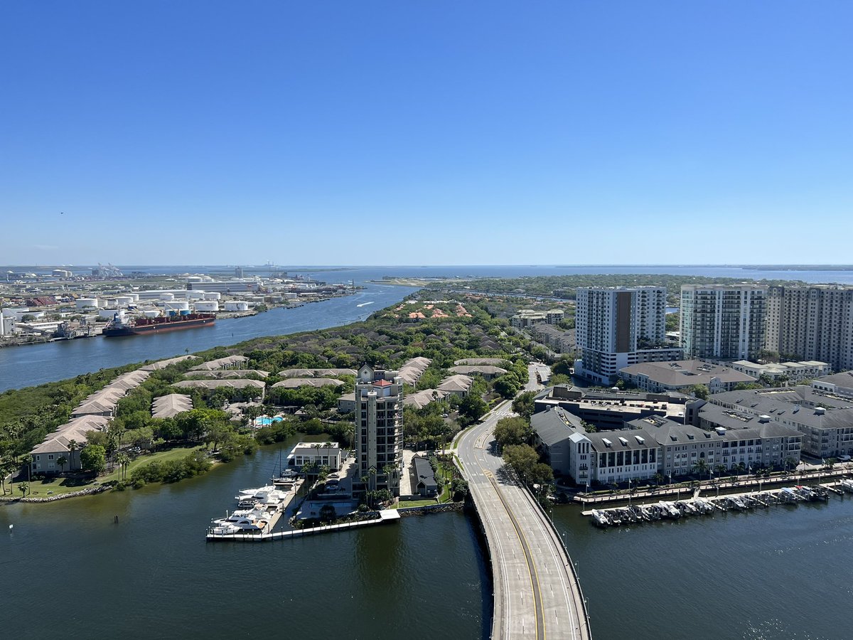 My view <a href="/herontampa/">herontampa</a>