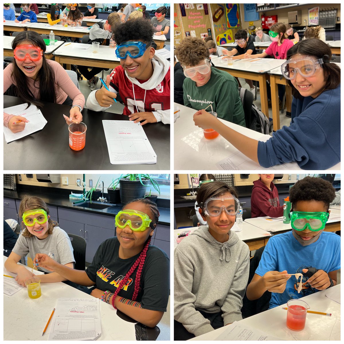 7th graders all rested from spring break ready to learn about DNA and genetics!  Loving the lab!