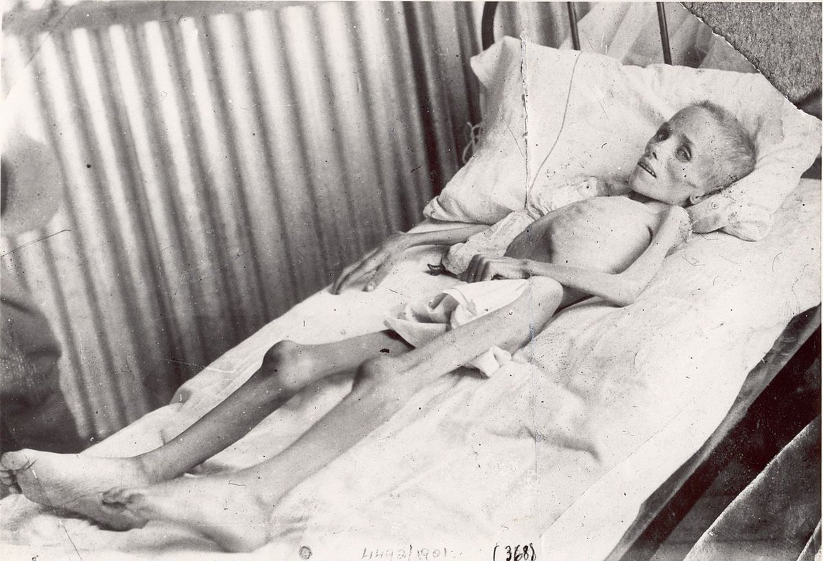 Essa menina se chamava Elizabeth Cecilia van Zyl, e essa foto foi tirada quando ela estava prisioneira junto com a mãe no campo de concentração de Bloemfontein.

Aí você me pergunta: 'Ué, não lembro desse campo nazista. Onde ficava?'

Aí é que tá: não era nazista. Era britânico.+