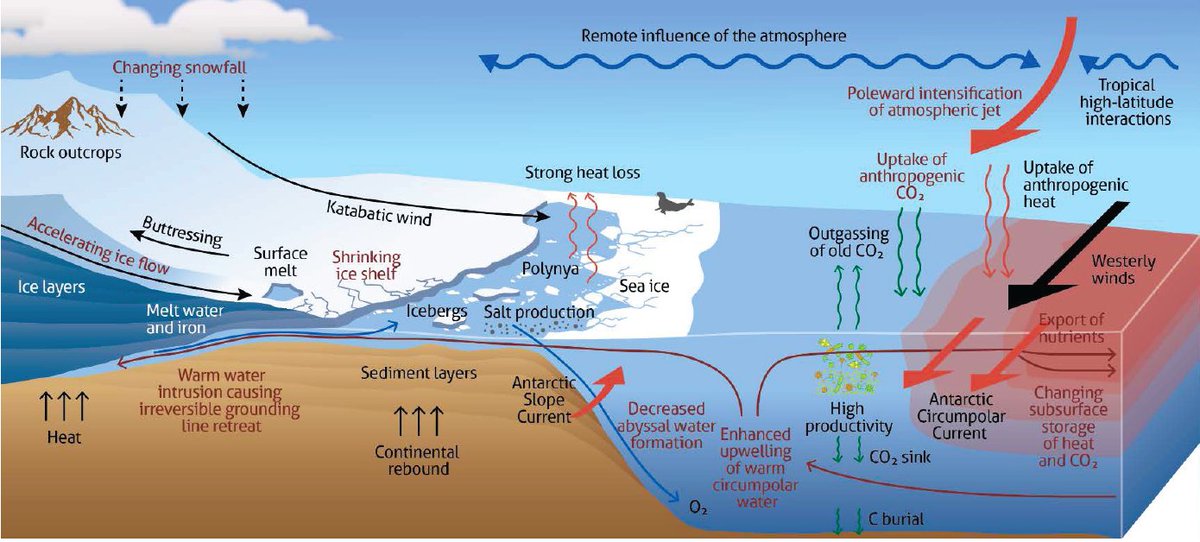 Prof. Matt England (@profmattengland) on Twitter photo Still hoping to hire a postdoc focused on coupled ocean-atmosphere-ice feedbacks around the Antarctic margin. Aiming to understand non-linear change and amplifying feedbacks. Based <a href="/UNSWScience/">UNSW Science</a> <a href="/ccrc_unsw/">UNSW Climate Change Research Centre</a> in Sydney, Australia. DM me for details. Thanks for sharing! Still hoping to hire a postdoc focused on coupled ocean-atmosphere-ice feedbacks around the Antarctic margin. Aiming to understand non-linear change and amplifying feedbacks. Based <a href="/UNSWScience/">UNSW Science</a> <a href="/ccrc_unsw/">UNSW Climate Change Research Centre</a> in Sydney, Australia. DM me for details. Thanks for sharing!