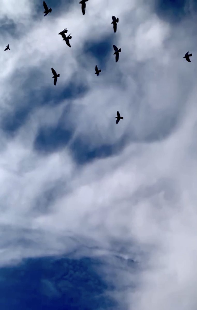 ..

الطمأنينة في هذه العبارة: 
صبرًا يا أمنياتي فإن ربي مجيب الأمنيات..💙

..
#صباح_الخيرᅠ