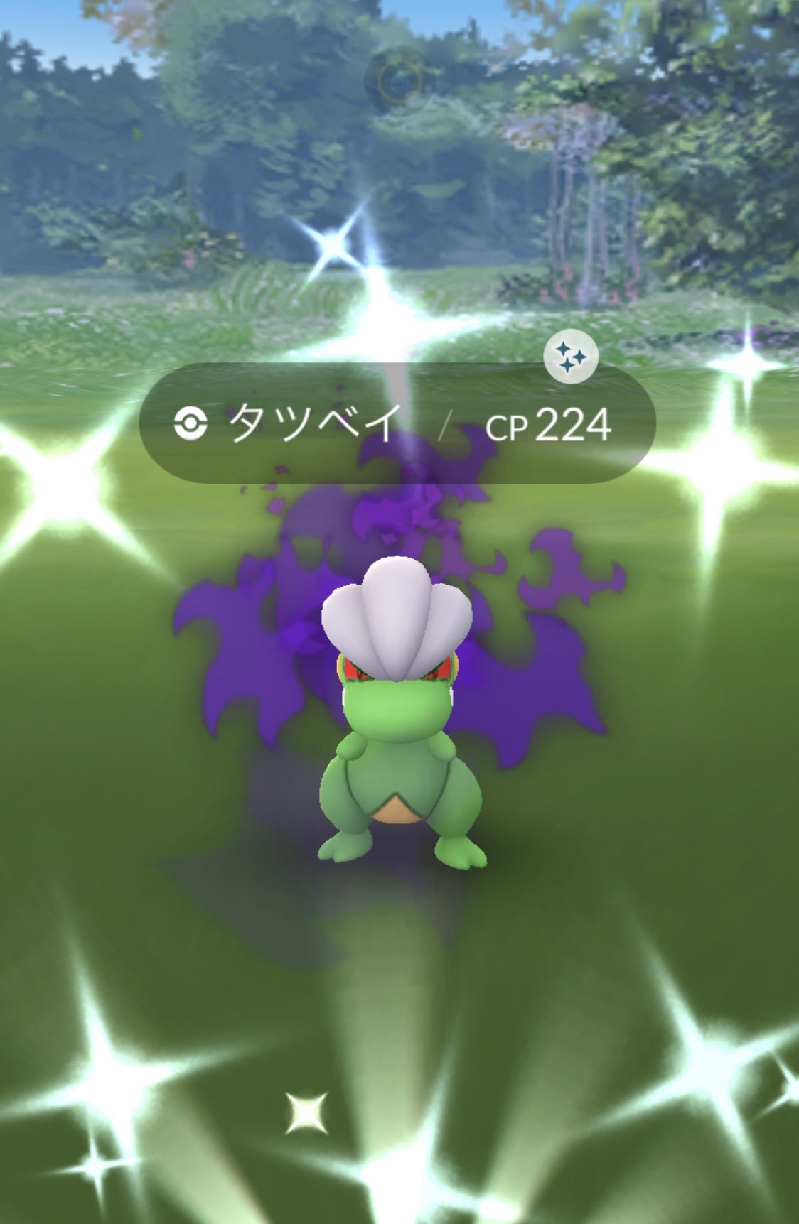 𝑅 ポケモンgo シャドウ タツベイ 色違い T Co Sw9f7jdc39 Twitter