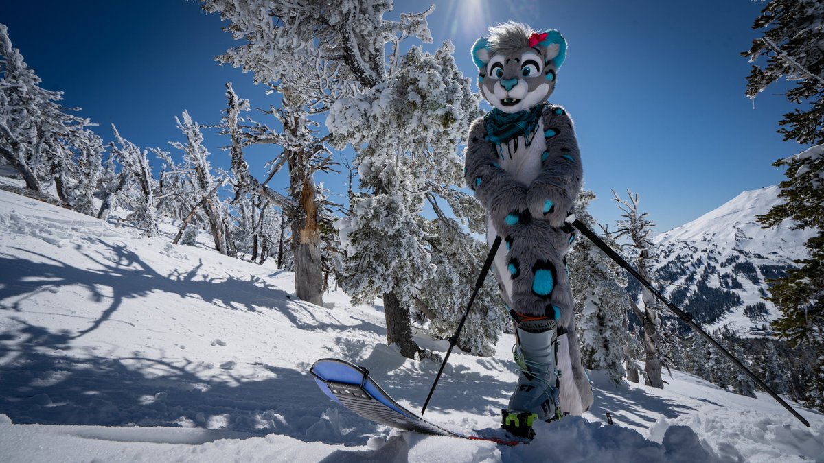 i think this may be one of my favorite photos taken of my fursuit ever ^____^ 📸 Mountain Flurry