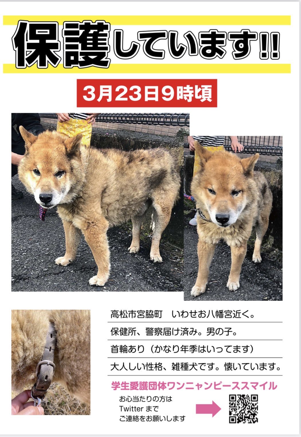 学生愛護団体ワンニャン ピースマイル Wannyanpeasmail Twitter