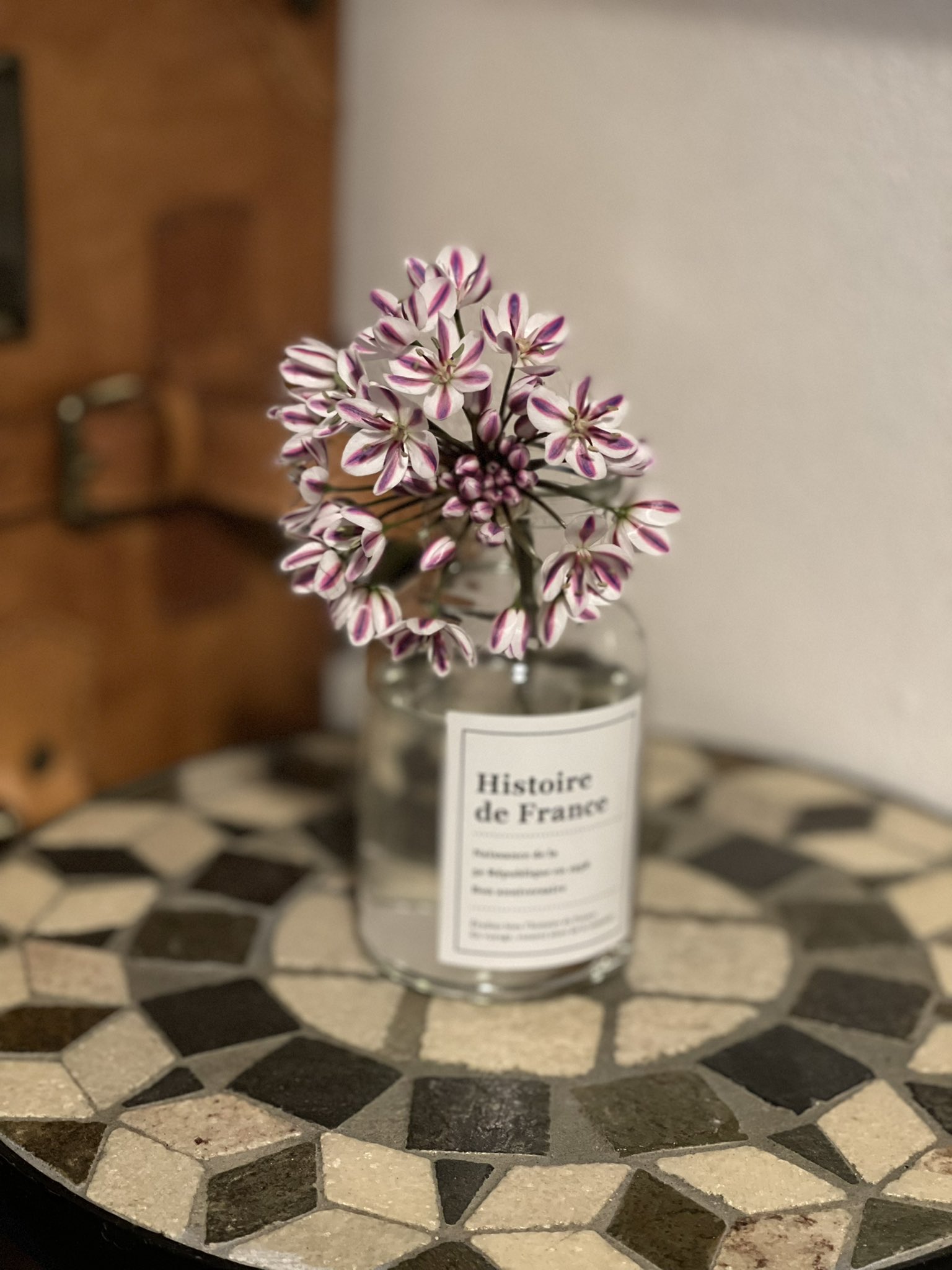 佐々木さくら 役者 今日のお花 アリウム コアニー 花言葉は 正しい主張 この子全然見えないんですけどネギ科なんです 線香花火の様なお花の開き方がとっても可愛いです T Co Qkjdvqeasz Twitter