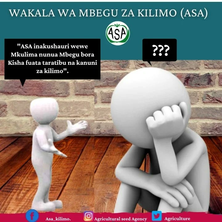 ASA_KILIMO's tweet photo. ASA KAZI INAENDELEA https://t.co/EAxmw3xwZX