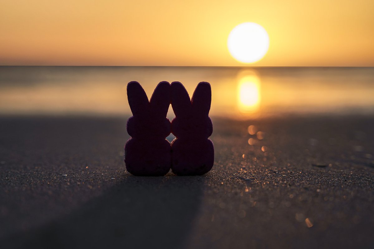 EileenRollin's tweet photo. My Peeps. #WomenInNFTs #peeps #newobsession #photographyislife https://t.co/QByfedUBRl