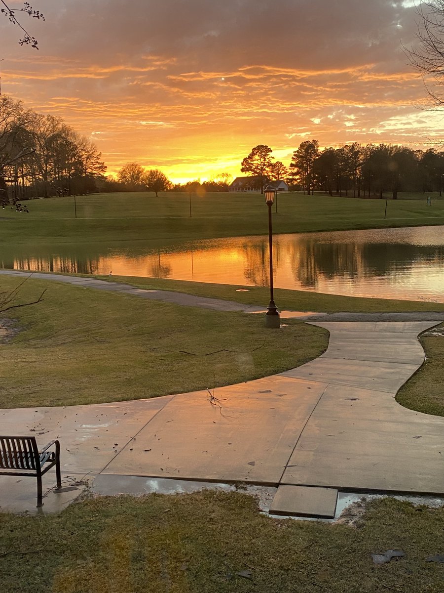 Luke Moffett tweet media