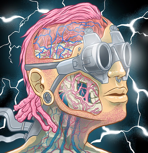 madmullet tweet media