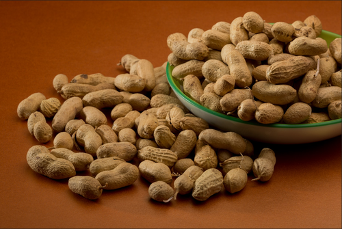 Everything You Need to Know About Indian Inshell Peanuts

#inshellpeanuts #indianinshellpeanuts #buyinshellpeanuts #inshellpeanutsexporter #peanutmanufacturing #inshellpeanutbenefits #Unitedinc

Read More: bit.ly/3ukAhXd