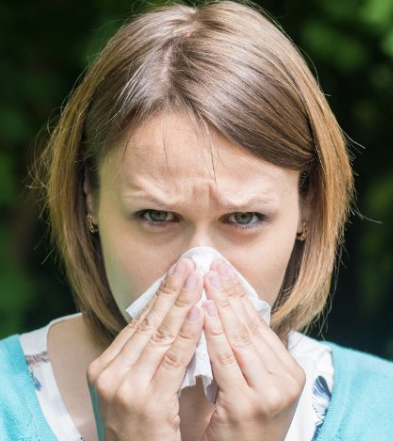 RejuvenateRNA's tweet photo. Seasonal allergies? Allergy Support+ can help. https://t.co/itXUaYOUas https://t.co/qOhMOTldws