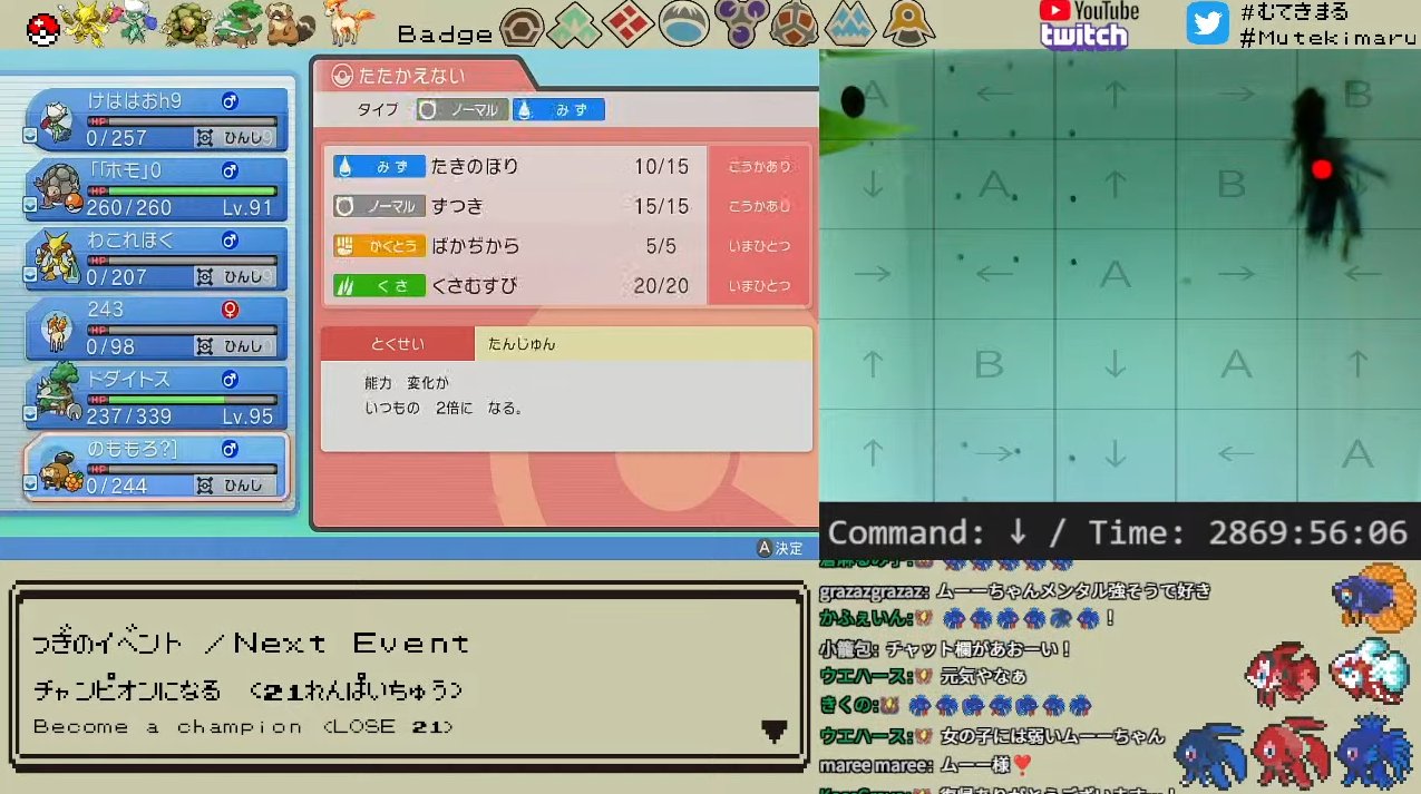 むてきまるちゃんねる Mutekimaru Channel ペットの魚がポケモンクリア sp編 今日の配信はクラウンテールベタのムーー様です 飼育開始から1年8ヵ月とご長寿です 舞台はポケモンリーグ 現在総プレイ時間2869時間 リーグ挑戦は21連敗中です 配信先