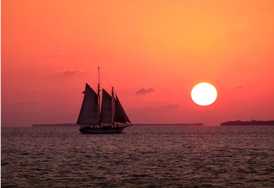 Anita Kabir (@anitakabir3) on Twitter photo 