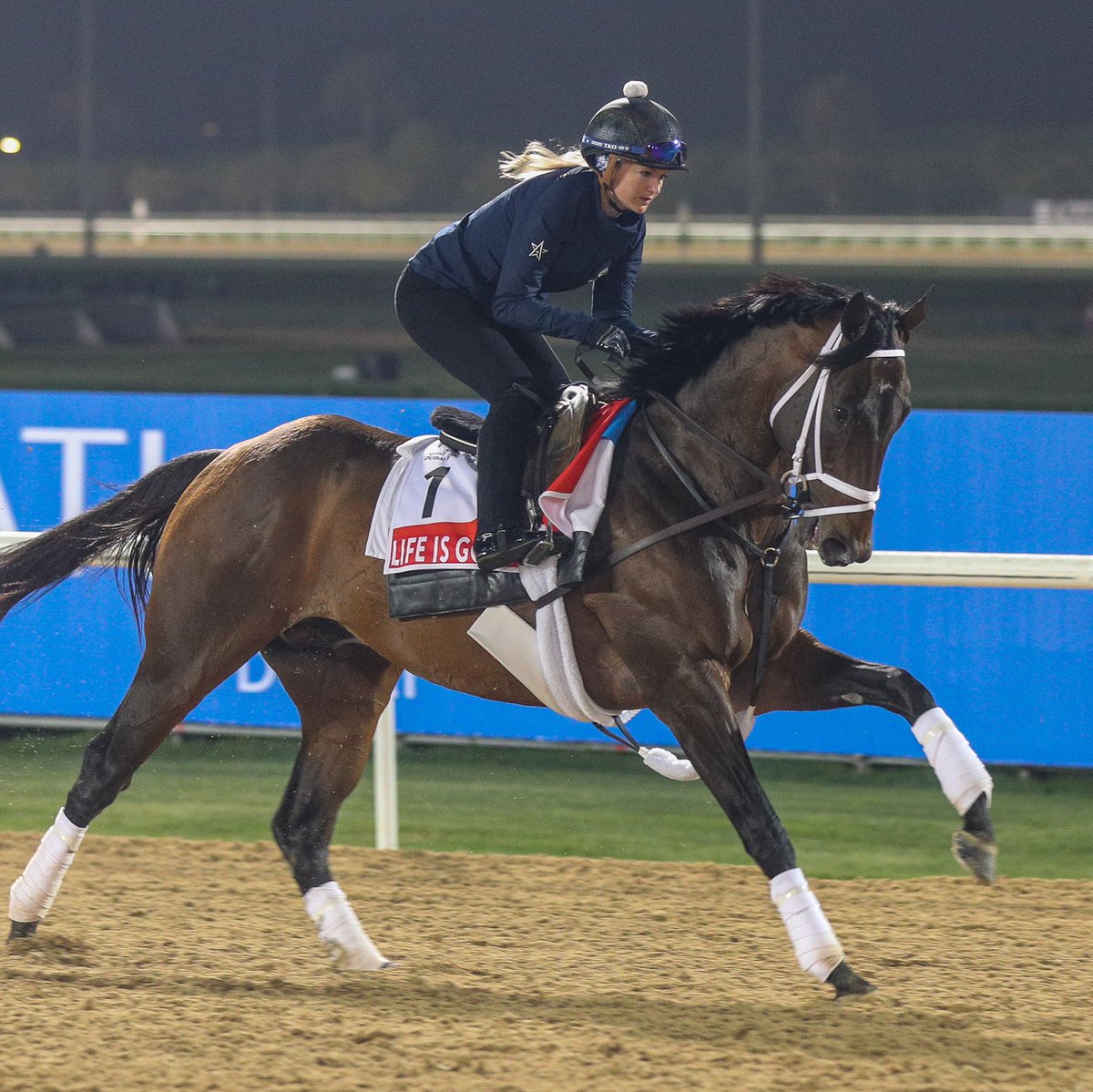 dubai world cup carnival betting trends dubai world cup carnival betting trends