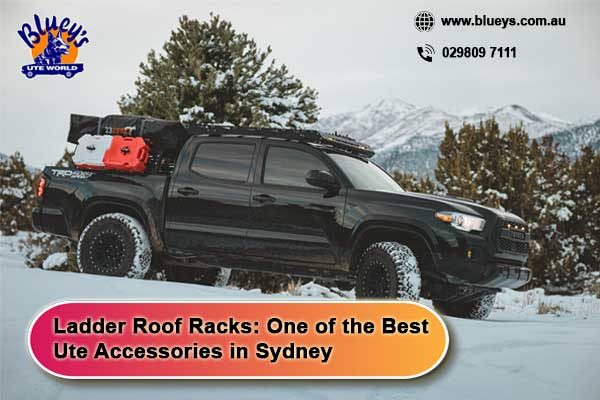 Bluey's UTE World tweet media