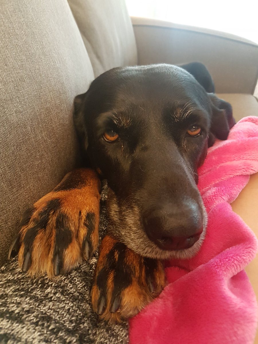 Mrs. Becker tweet media