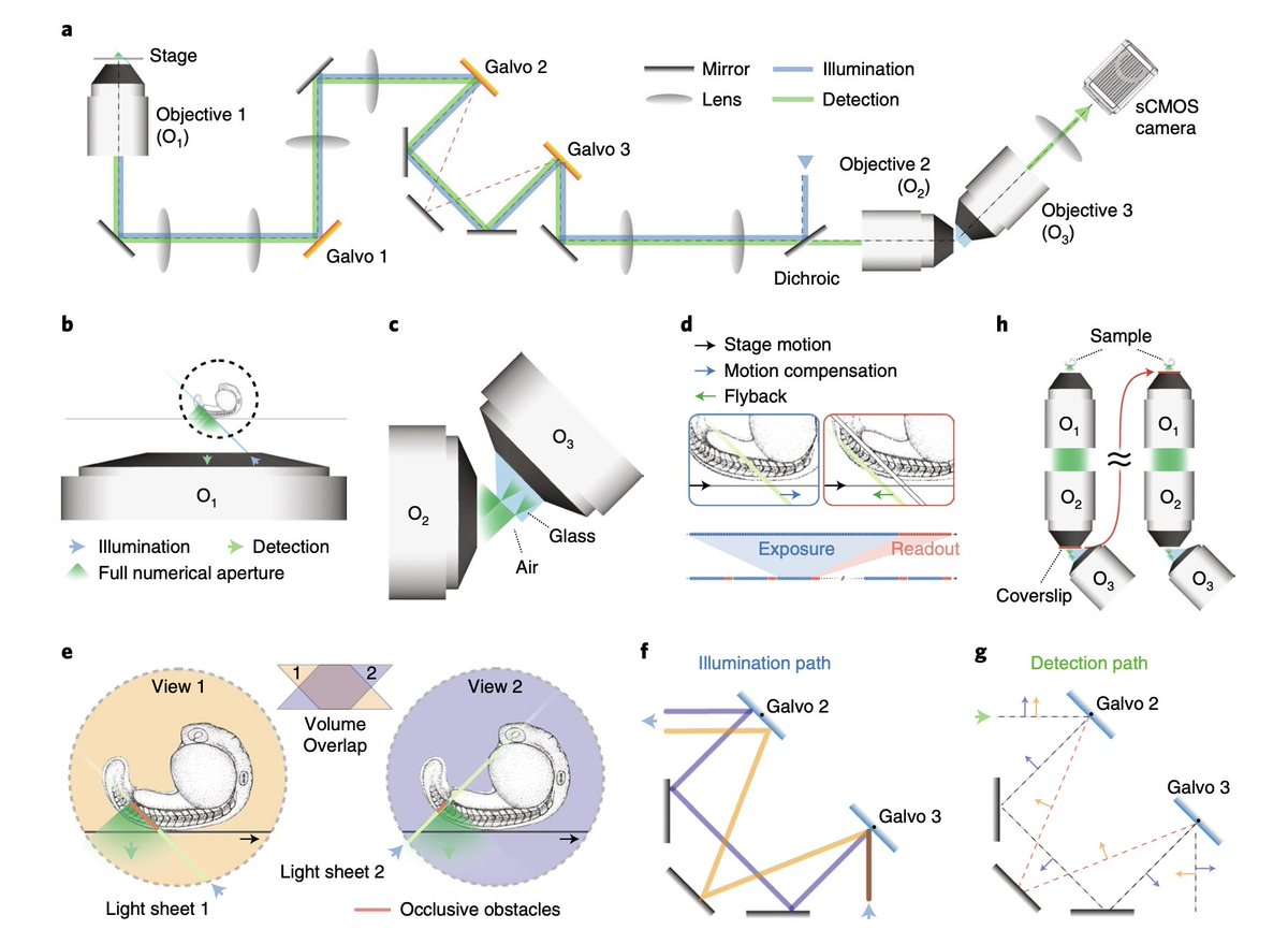 jimhaseloff's tweet photo. DaXi—new microscope design for high-resolution, large imaging volume and multi-view single-objective light-sheet microscopy from @loicaroyer and colleagues. Oblique scanning gotta be the future for lots of us...
(https://t.co/KRcB5VVLD0) https://t.co/aKExsIL4CO