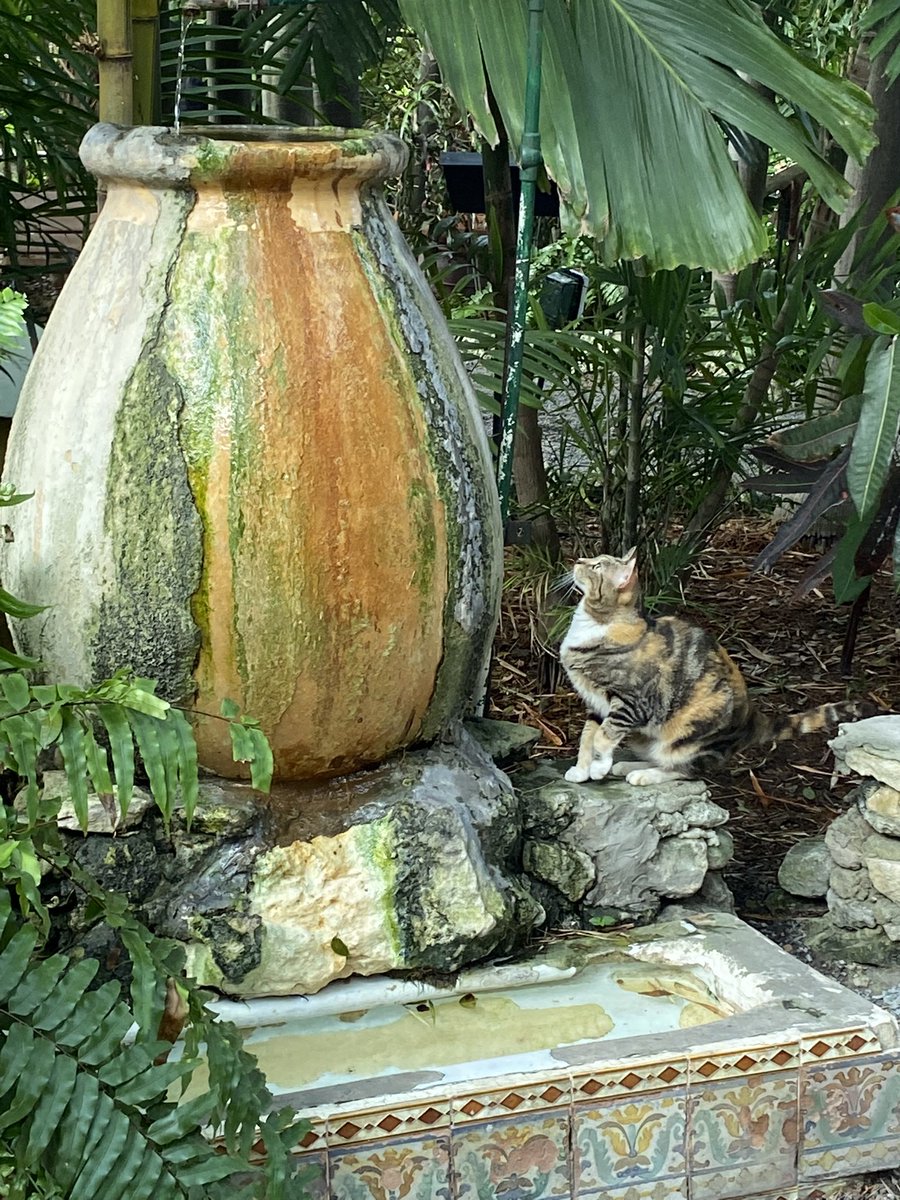 karen_flynn's tweet photo. The urinal Hemingway took from his favourite pub - Piper Laurie here prefers to drink from the fountain source at the top! #HemingwayHome https://t.co/vEPpMvgiQx