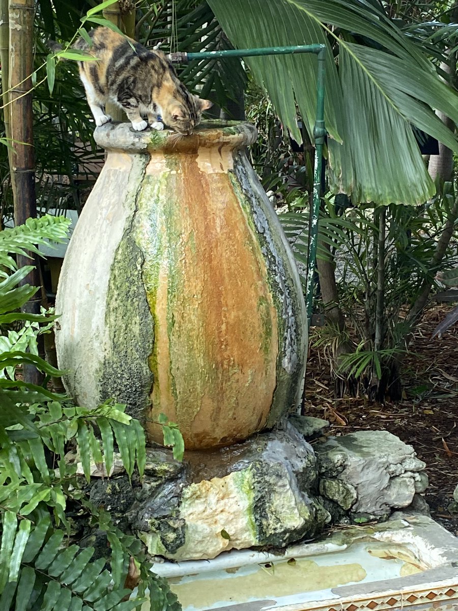 karen_flynn's tweet photo. The urinal Hemingway took from his favourite pub - Piper Laurie here prefers to drink from the fountain source at the top! #HemingwayHome https://t.co/vEPpMvgiQx