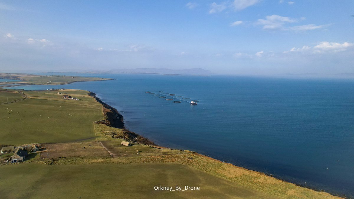 ByOrkney's tweet photo. Bonnie day in Orkney the day! Views out onto the flow and Lober Rock Salmon farm. 

@scotseafarms @VisitScotland https://t.co/yqBhGVW68r