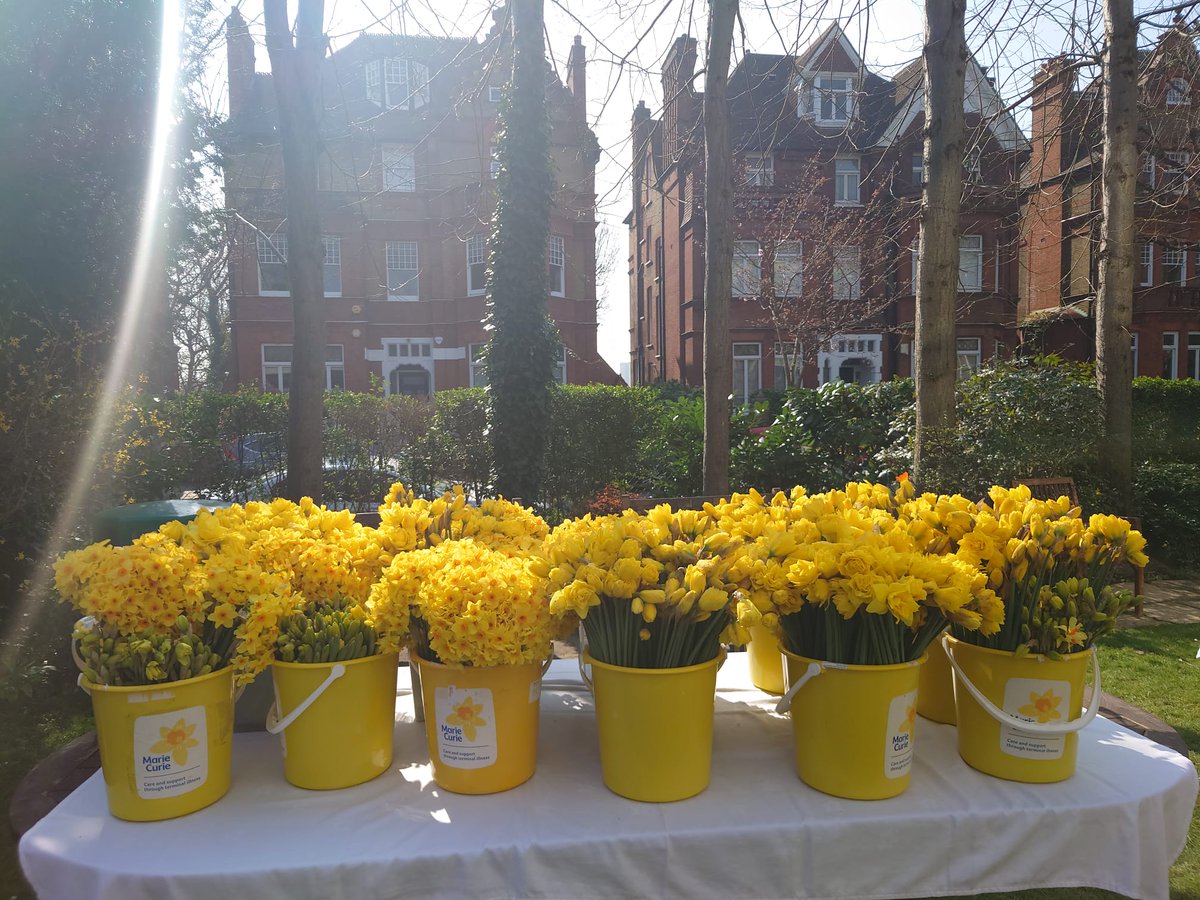 Breakfast for our fabulous nurses is underway at @MarieCurieLDN Hampstead Hospice. Thank you to @NewCoventGarden for the gorgeous daffodils & @GLH_Tweets for delivering   them - what a lovely start to #DayofReflection @MarketFlowers 💛🙏