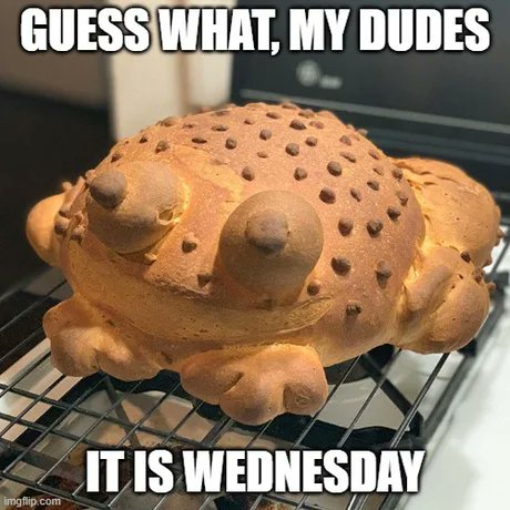 Important announcement: It's Wednesday!

#itswednesdaymydudes #itswednesday #mydudes #wednesday #lickthetoad #ToadDay