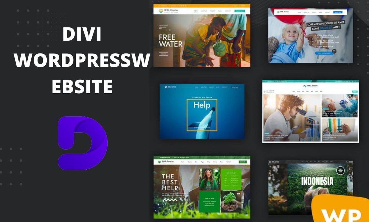 Check out my Gig on Fiverr: design responsive wordpress website with divi theme fiverr.com/share/vo1WXr