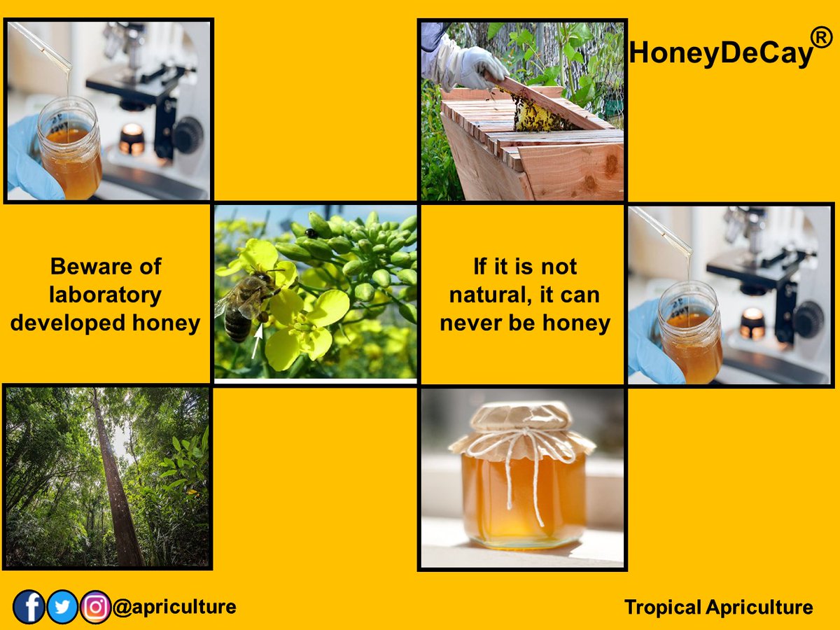 We are in a world where people are allowed to do anything all in the name of possibility and innovation.

Beware of laboratory developed honey. If it is not natural, it can never be honey.

Tag a friend.#laboratoryhoney #honeyworld #foodies #honey #honeydecay #tropicalapriculture