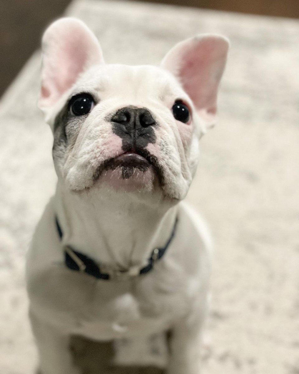 Heather Stepp tweet media