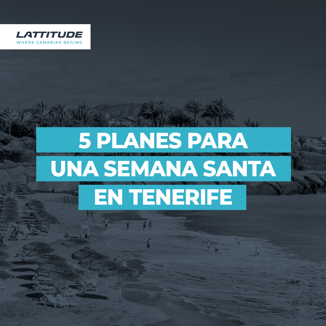 5 planes para disfrutar de Tenerife en Semana Santa:

🌋Subir al Teide
🚶‍♂️Recorrer los cascos históricos de La Laguna, La Orotava o Garachico
🍷Degusta nuestros vinos únicos en un guachinche
🛍️Compras en Santa Cruz de Tenerife
🏊‍♂️Un bañito en los 'charcos'