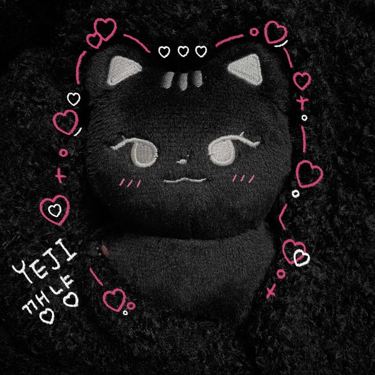 나도 깽냥이 생겼다