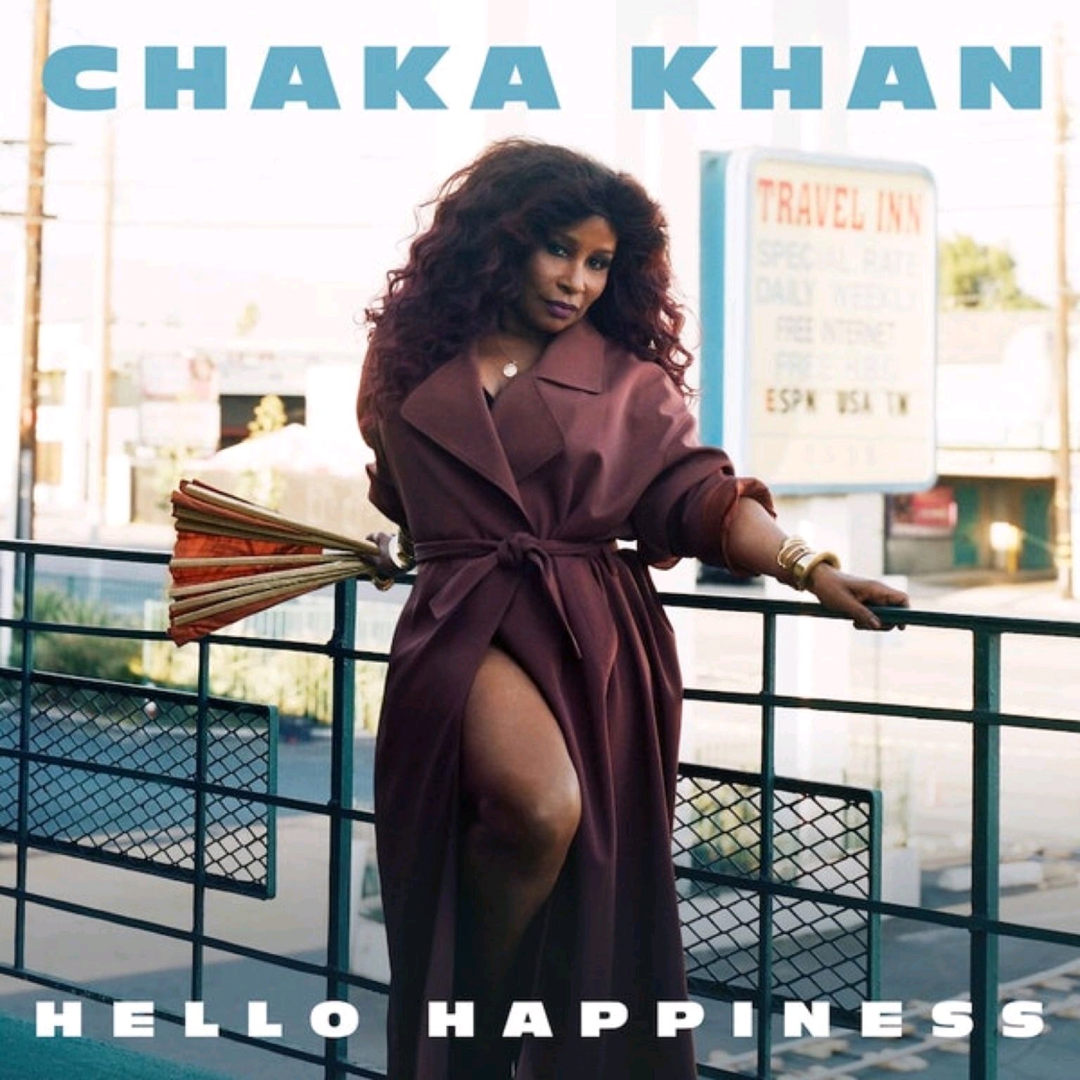 HAPPY BIRTHDAY CHAKA KHAN MARCH 23RD 1953 