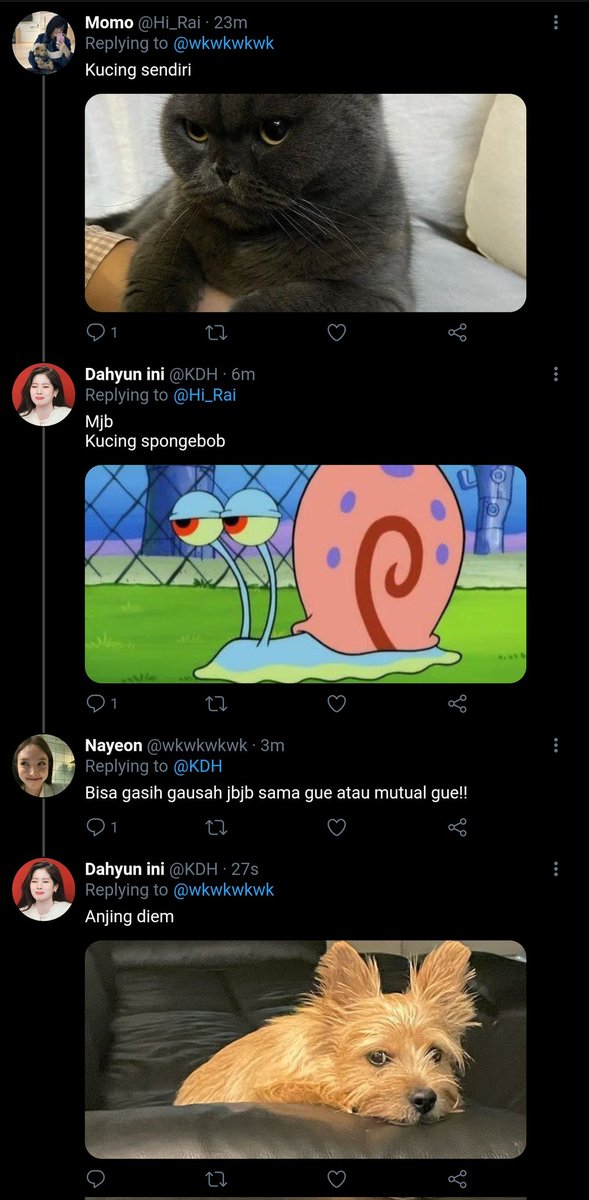 SWABTWICE's tweet photo. Banyak guguk

#2yeon #2yeonAU #RandomAU https://t.co/HE8SvlZbBm