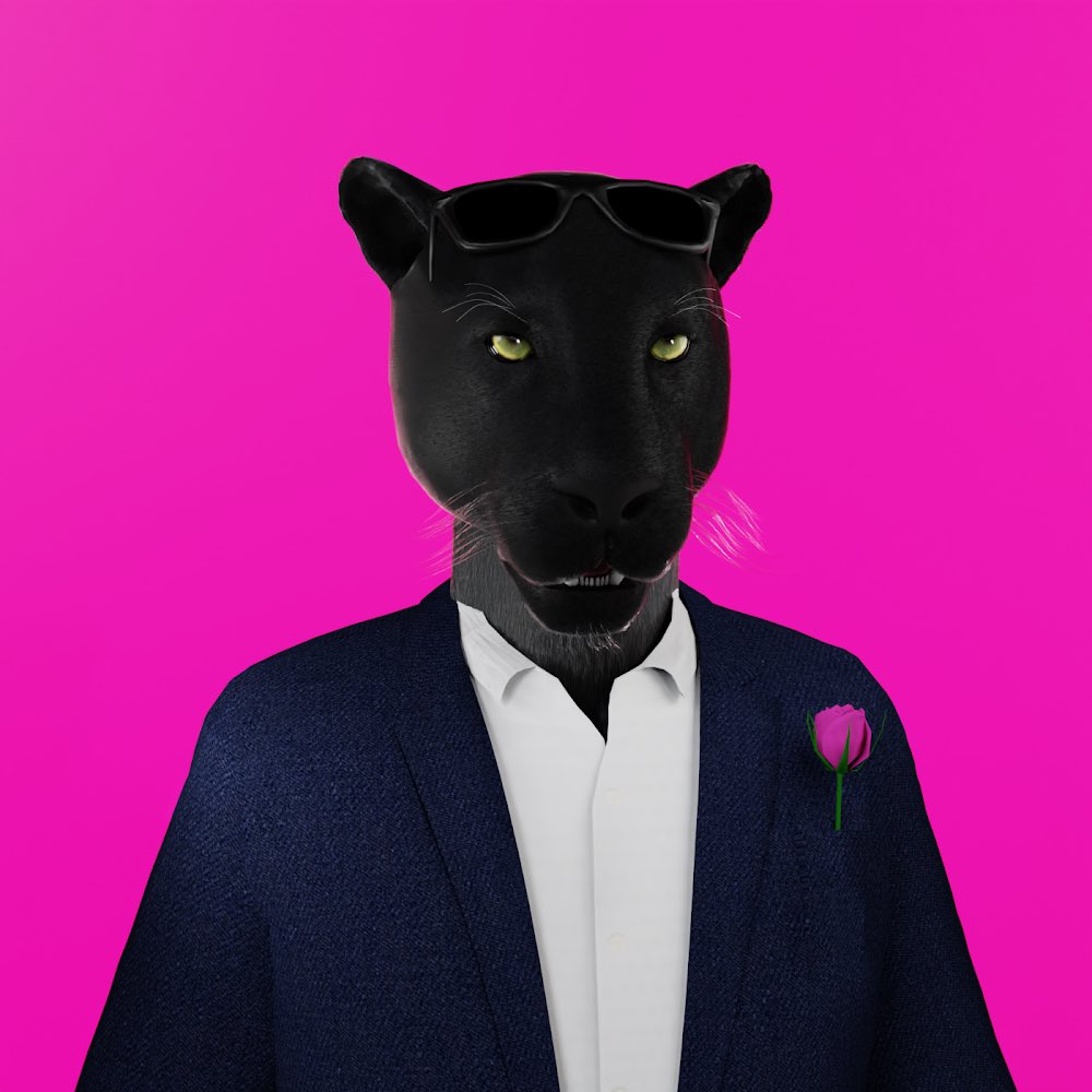 Serious Panther Club tweet media