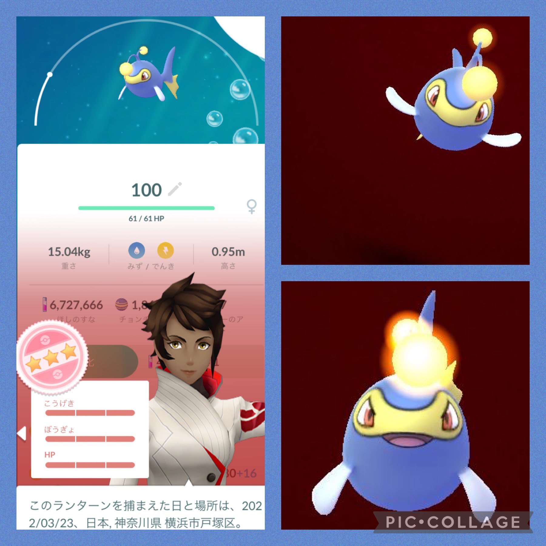 Chappy ᙚᵐⁱᒻᵉ ランターン 残業してたら に来てくれました 色違いと は嬉しいです ありがとう 大切にします ポケモンgo Pokemongo ランターン T Co Se3chxfsin Twitter Chappy ᙚᵐⁱᒻᵉ ランターン 残業してたら に来てくれました 色違いと は嬉しいです ありがとう 大切にします ポケモンgo Pokemongo ランターン T Co Se3chxfsin Twitter