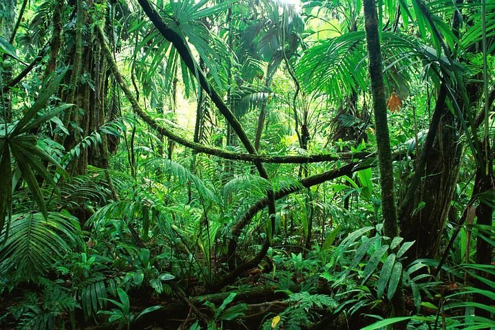 Ccv43Mam's tweet photo. El mam es una lengua maya hablada en el noroeste de Guatemala por aproximadamente medio millón de habitantes. También es hablada en la zona sureste del estado de Chiapas, México en la zona de la frontera. Pertenece al tronco maya.. https://t.co/lhvAI3yzBt