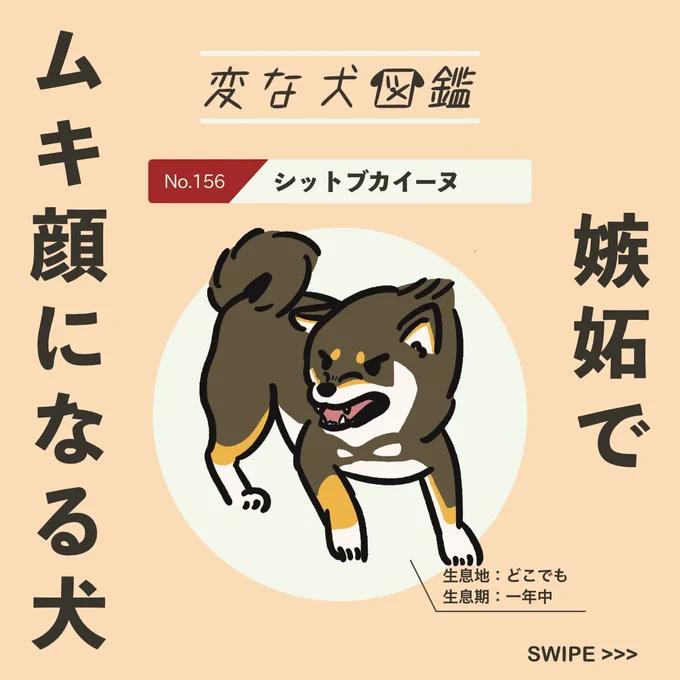 【変な犬図鑑】
No.156 シットブカイーヌ
飼い主が他の犬を可愛がると嫉妬するあの犬です。 