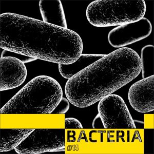 So the song is out, what do we think ? Bacteria (feat. Adam Lambert) - Single by Boy George music.apple.com/gb/album/bacte…
