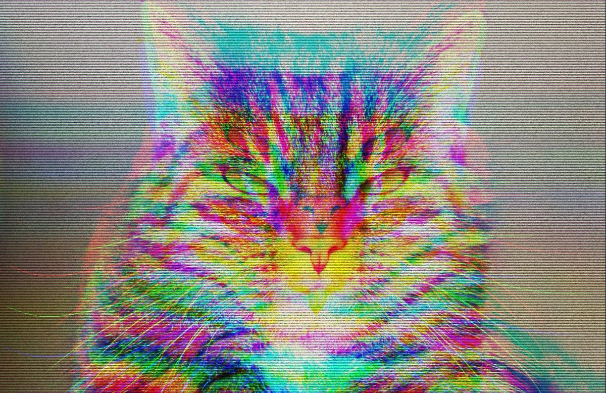 Du hast eine Meinung zur Keyword Density? Wir auch. Bewirb Dich jetzt als Content Strategist (m/w/d) bei Crispy Content®! #jobs #contentmarketing #contentstrategy #berlin #hubspot 
crsp.me/3IfSLxI?