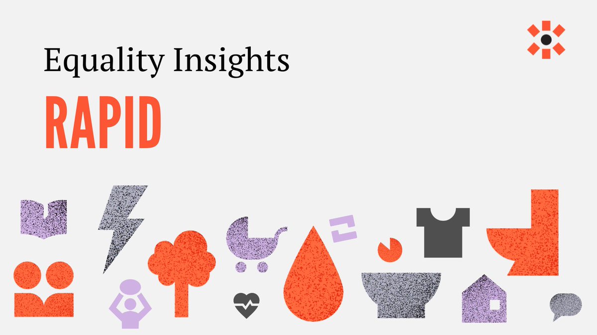 Icons representing the 15 dimensions that Equality Insights Rapid measures. This includes a book, a tree, water droplet, bowl, pram, shirt, house, speech bubble and toilet. The icons are orange, grey and purple. There is some text about Equality Insights Rapid.