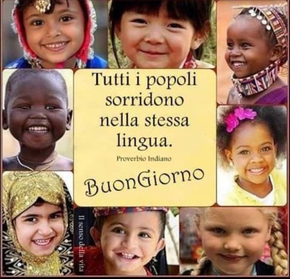 ♥️Ieri 117 sorrisi spenti per sempre in questo genocidio odioso in Ucraina!

È banale lo so…ecco i bambini dovrebbero fare solo una cosa: sorridere! Chi toglie loro la possibilità di farlo è un criminale in tutte le lingue del mondo!❤️
#NoWars