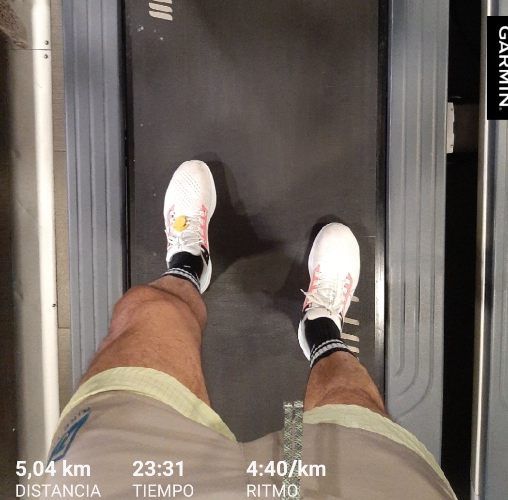 oscaram19711207's tweet photo. 5 K a ritmo 4:40 . Veremos si aguantamos así toda la 1/2 @mitjabarcelona .
Seguimos 🏃♂️👍🏽💪🏽
@kmsxela
@elrinconcorredo @practicarunning
#KMSxELA
#elrincóndelcorredorpopular
#practicarunning
#edreamsmitjabarcelona
#mitjabarcelona https://t.co/hFbCaop5hF