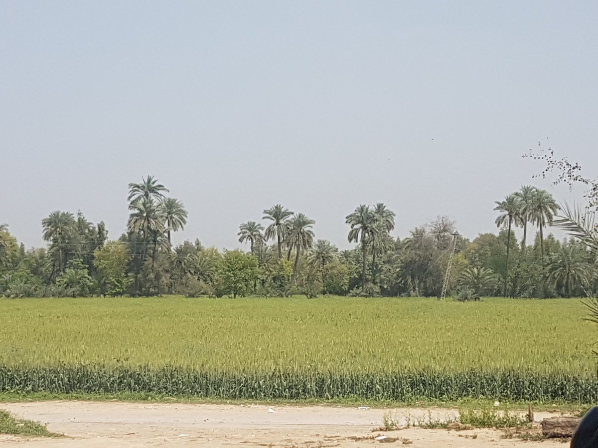 Banisai's tweet photo. #Goriwala #Bannu #KPkK https://t.co/tNHKkuPWEd