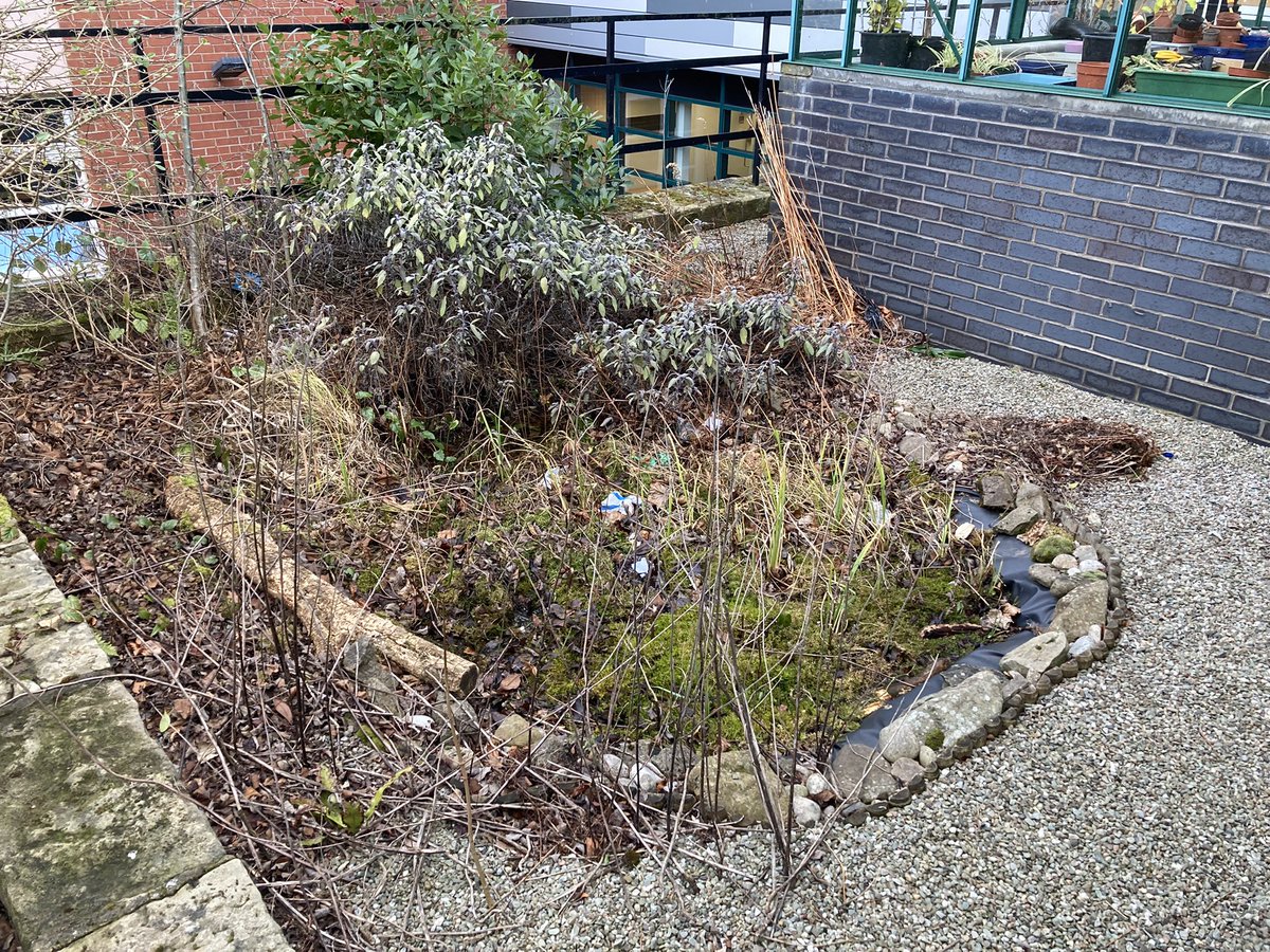 Our school pond clear up before and after pictures. We’ve also positioned 6 new bird feeders around the school grounds. You can see one in this picture! #ecoschool
