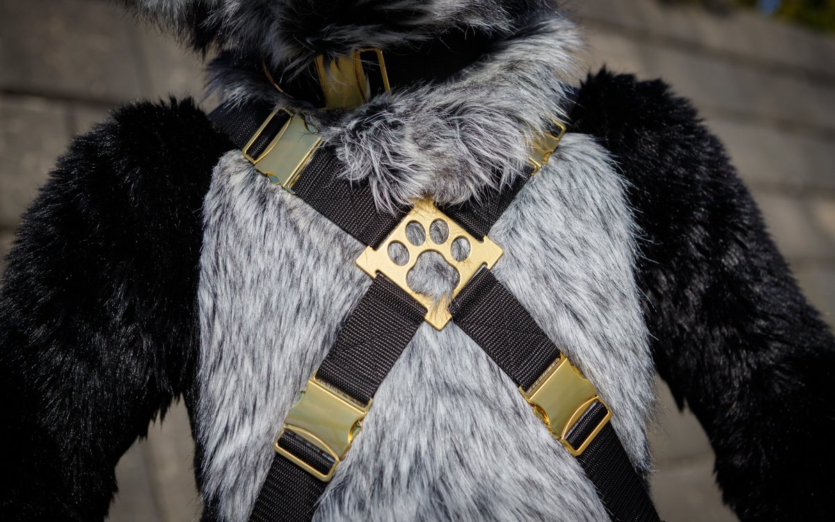 Confoxtion's tweet photo. ‼️ https://t.co/hO0U5atImw Easter GIVEAWAY ‼️

In need of a new harness or perhaps you wanna take that *special friend* for a walk?

Win any product + 1 extra of your choice. Custom  options available

🐰 Follow + RT to enter. Tag 2 friends to increase chances

💦 Ends April 14th https://t.co/mFNUjjDLnC