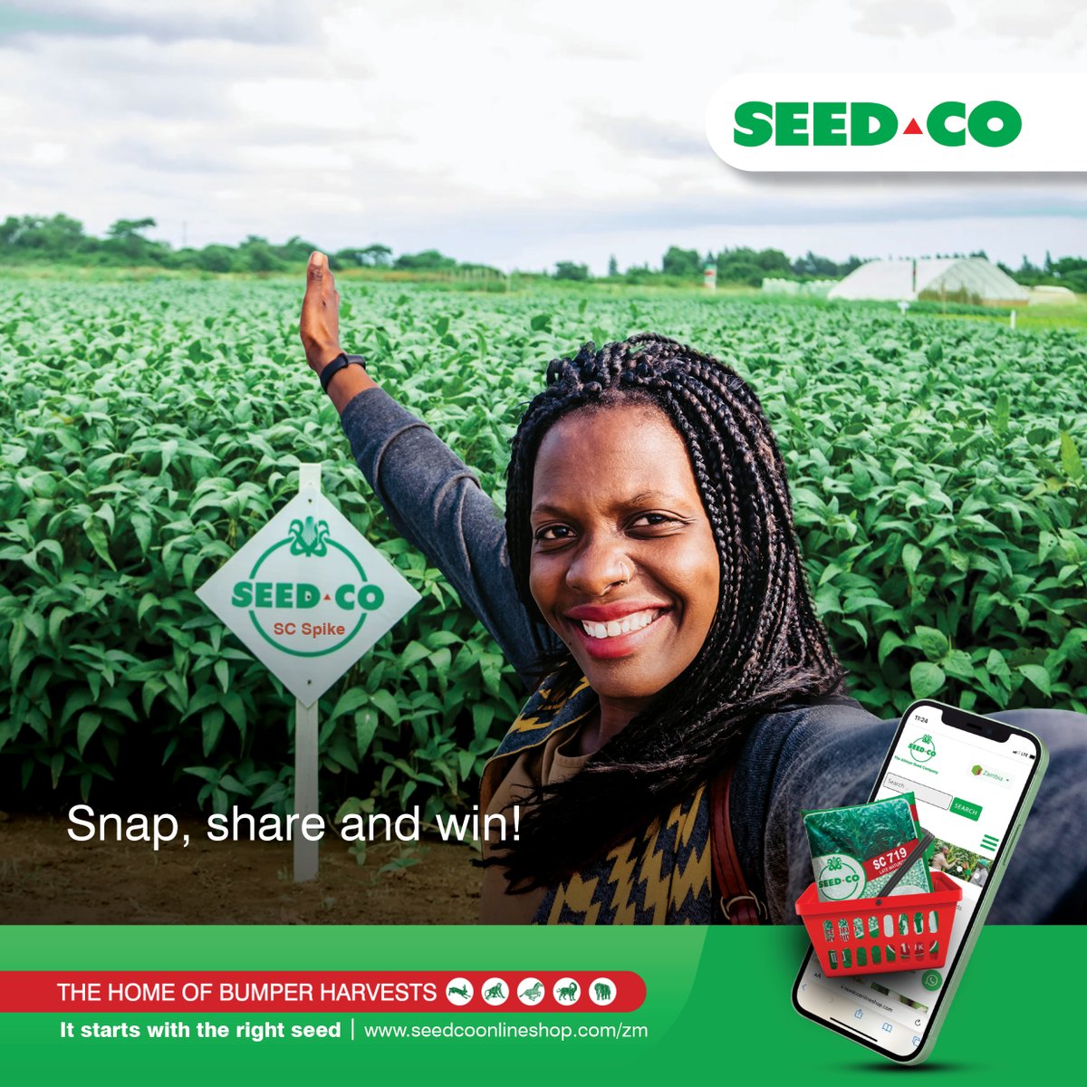 SeedCoZambia's tweet photo. Get ready to win some Seed Co branded goodies!
Be sure to take a selfie in your Seed Co field, share in our inbox section and you could be our next winner. Remember the competition comes to an end on 27th April, 2022.
T’s and C’s apply.
#SCSpike
#TheHomeOfBumperHarvests https://t.co/MBjdtj0mQd